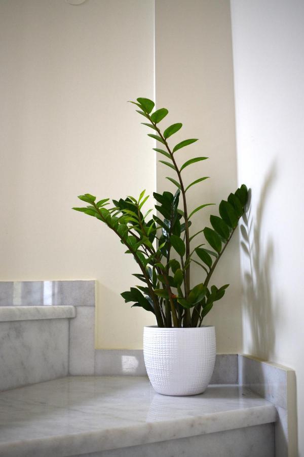 Stalós Four Seasons Homes מראה חיצוני תמונה